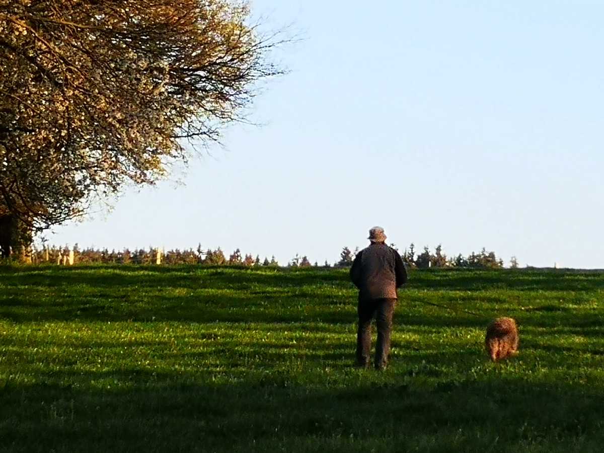 Wanderung